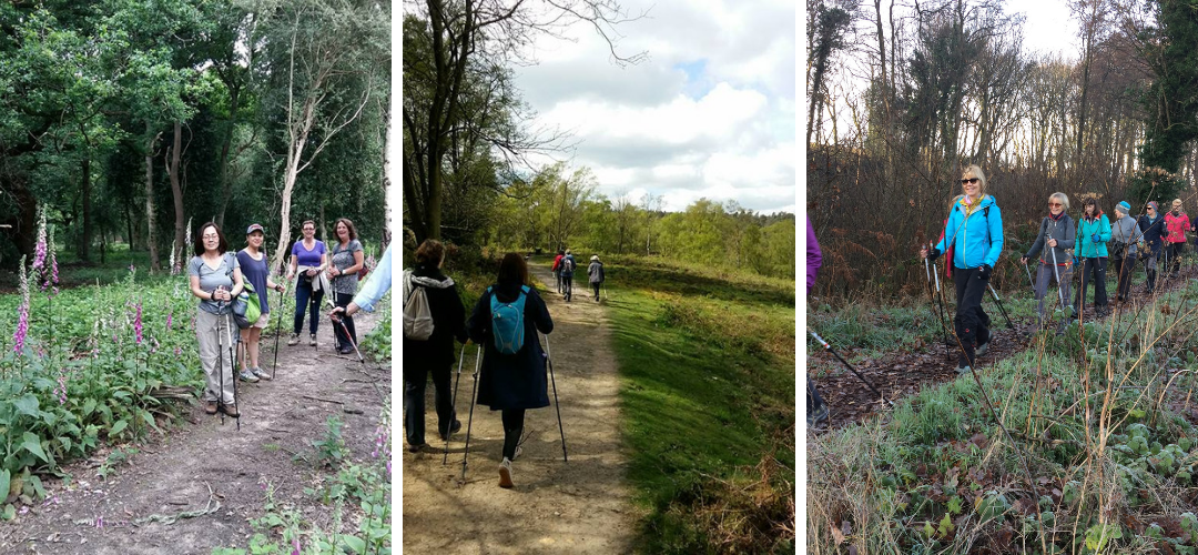 Nordic Walking in Surrey